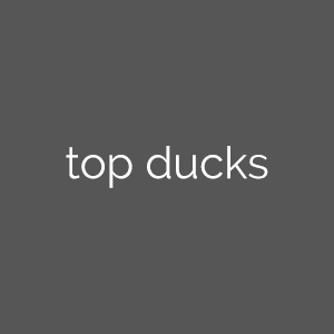Top Ducks